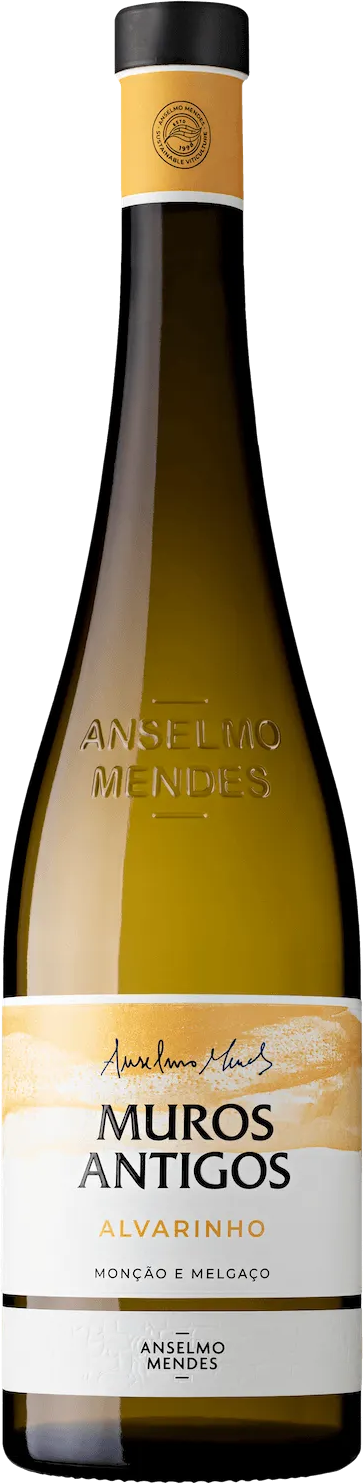 Anselmo Mendes Murgo Antigous - Аlvarinho 2023