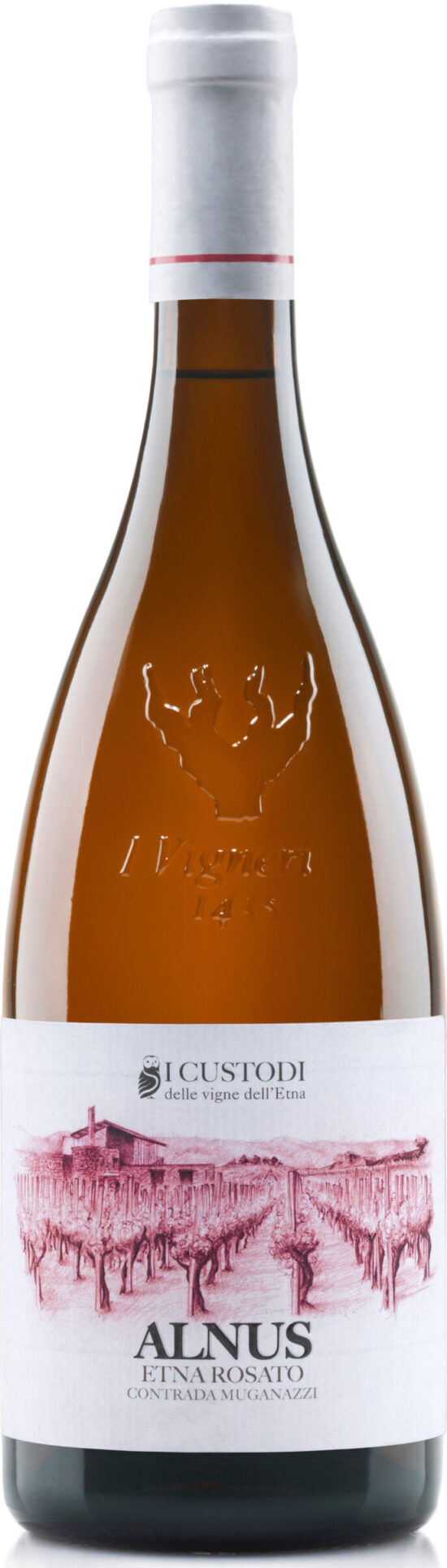 I Custodi ALNUS (Rose) - 2025 2025