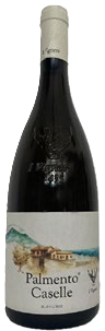 I Vigneri Palmento Caselle - Etna Bianco Superiore - 2022 2022